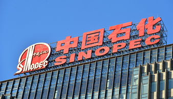 A股77家公司上半年獲政府補貼過億，中國石化成“補貼王”